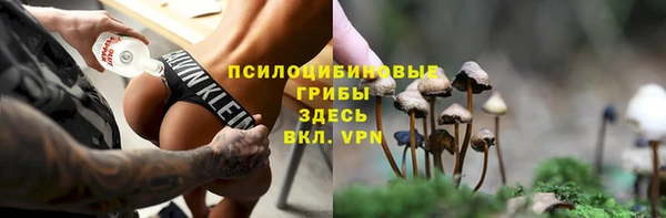 apvp Заволжск