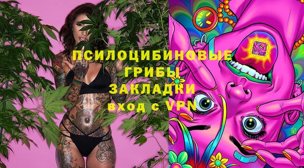 apvp Заволжск