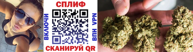 Бошки Шишки сатива  купить наркотики сайты  Новый Уренгой 